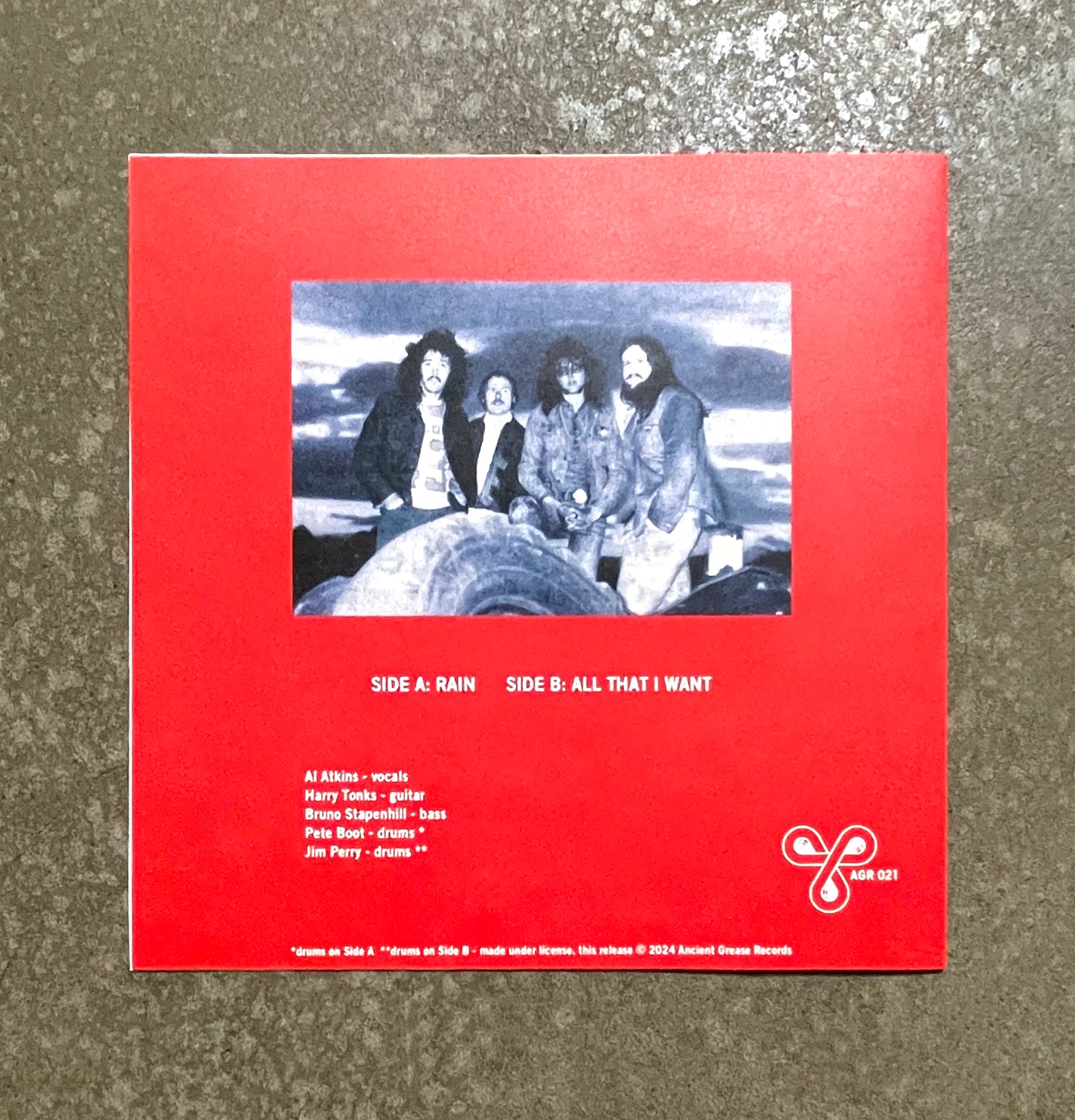 LION ---7"--- PICTURE SLEEVE