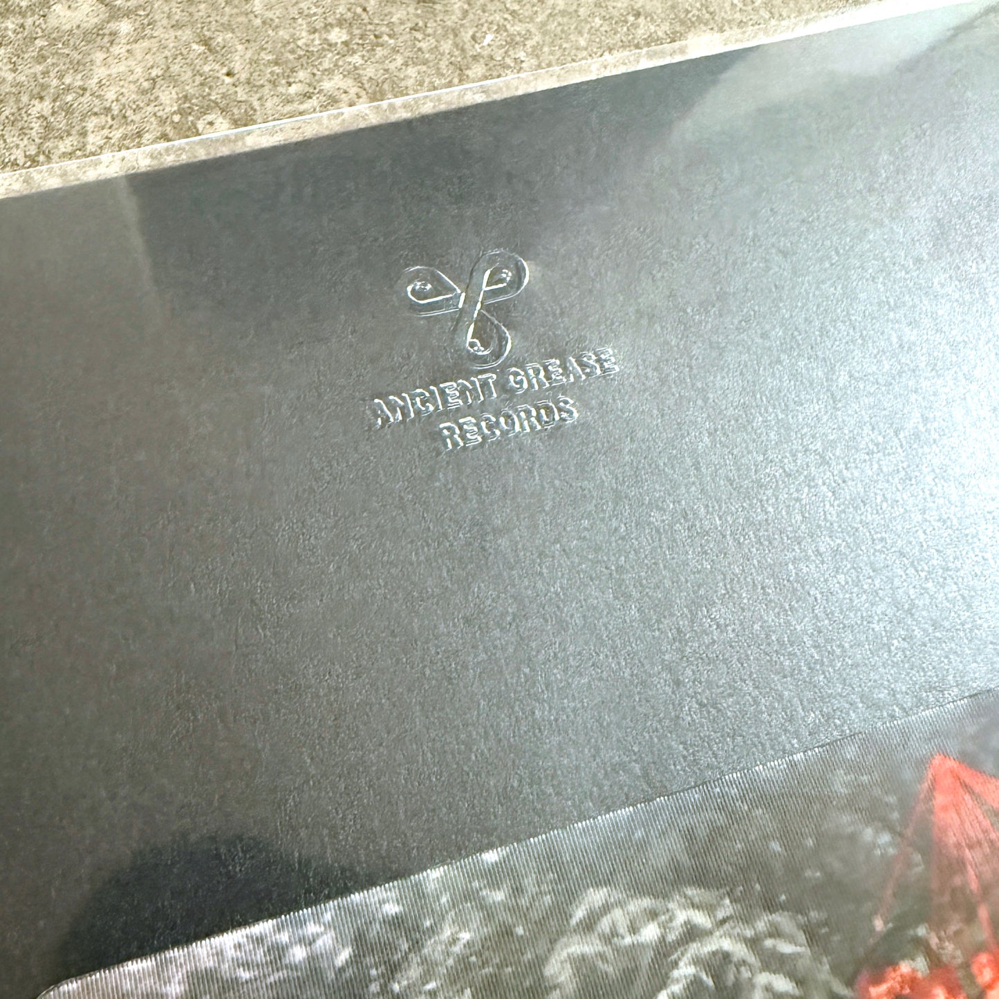 PUNCH - LP - LENTICULAR FLIP-IMAGE COVER - EDITION OF 65